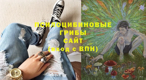 apvp Белокуриха