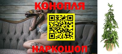 мяу мяу мука Камышлов