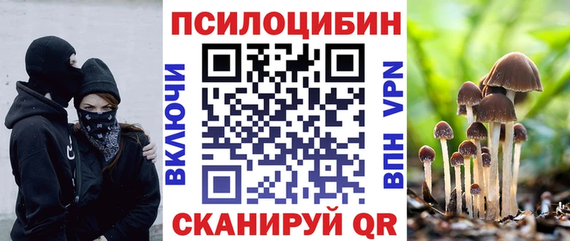 Галлюциногенные грибы Psilocybine cubensis  Кузнецк 