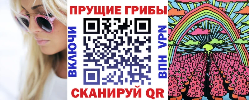Галлюциногенные грибы Psilocybe Кузнецк