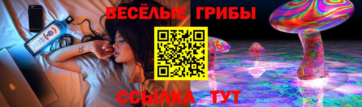 Кузнецк  Галлюциногенные грибы GOLDEN TEACHER  Вход с VPN 