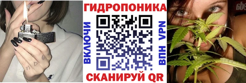 Шишки марихуана гибрид  Кузнецк 